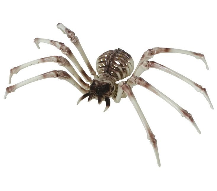 Halloween Skelet Spider 85cm - Partywinkel - 8434077249765