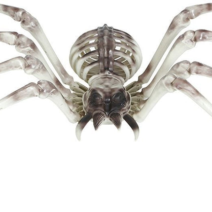 Halloween Skelet Spider 85cm - Partywinkel - 8434077249765
