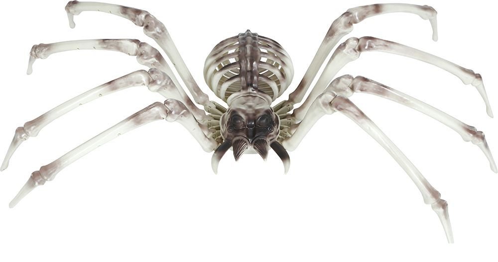 Halloween Skelet Spider 85cm - Partywinkel - 8434077249765