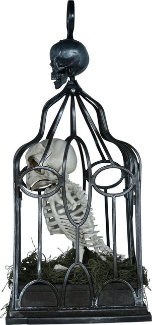 Halloween Skelet Uil In Kooi Met Licht, Geluid En Beweging van Fiestas Guirca koop je bij Partywinkel