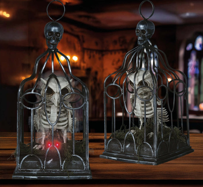 Halloween Skelet Uil In Kooi Met Licht, Geluid En Beweging van Fiestas Guirca koop je bij Partywinkel