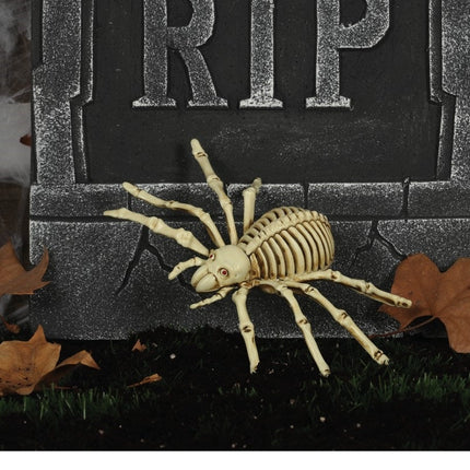 Halloween Spinnen Skelet 24cm van Fiestas Guirca koop je bij Partywinkel