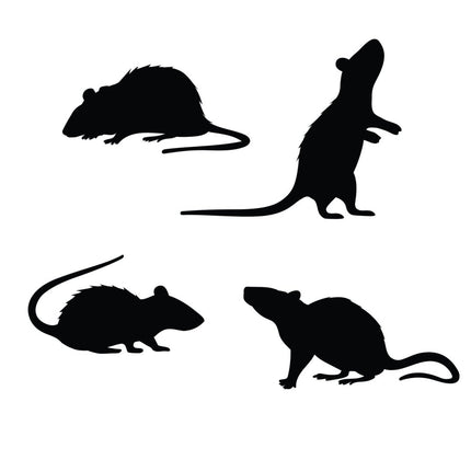 Halloween Tafeldecoratie Ratten van Fiestas Guirca koop je bij Partywinkel