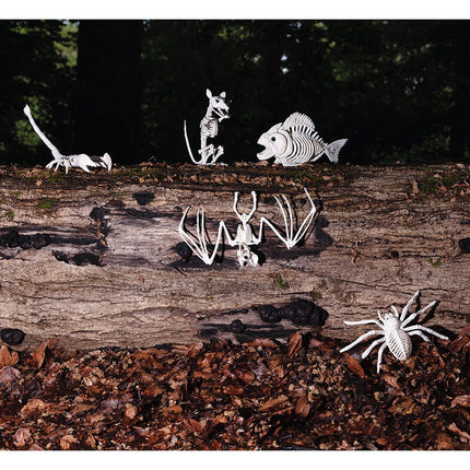 Halloween Vissenskelet 24cm van Boland koop je bij Partywinkel