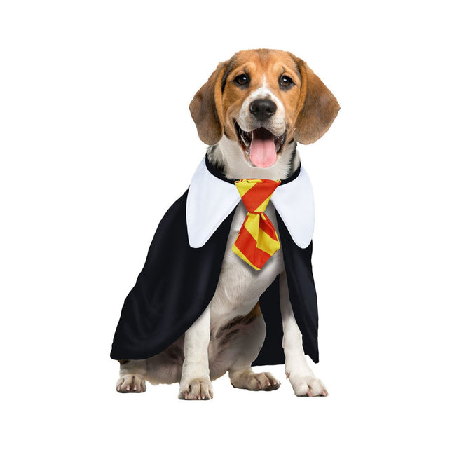 Harry Potter Kostuum Hond van Fiestas Guirca koop je bij Partywinkel