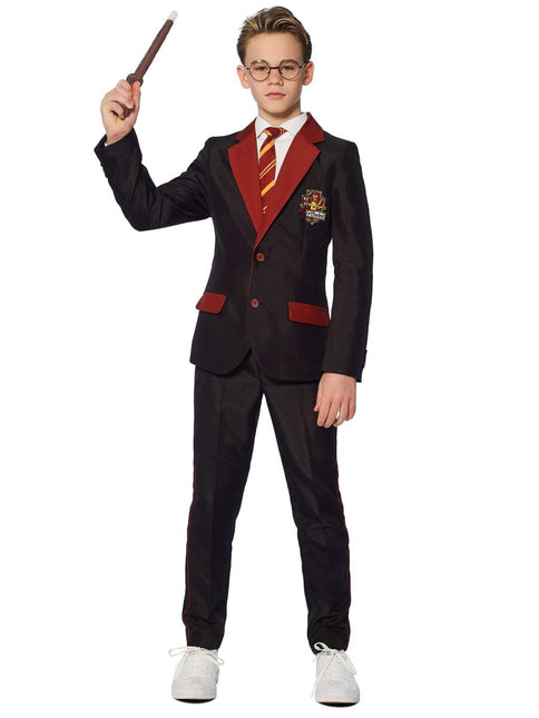 Harry Potter Pak Jongen Gryffindor van Suitmeister koop je bij Partywinkel