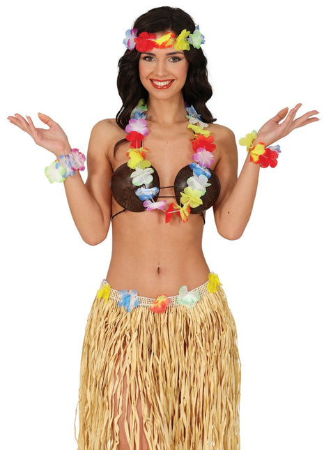 Hawaii Accessoireset Regenboog 4 delig - Partywinkel - 8434077270615