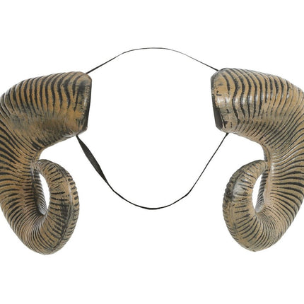 Hoorns van Fiestas Guirca koop je bij Partywinkel