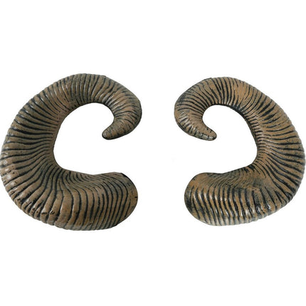 Hoorns van Fiestas Guirca koop je bij Partywinkel