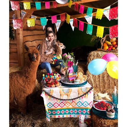 Lama Slinger 6m van Boland koop je bij Partywinkel
