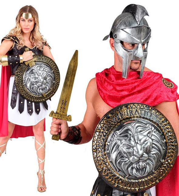 Leeuwenhart Schild en Zwaard van Widmann koop je bij Partywinkel