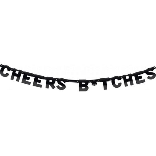 Letterslinger Cheers B*tches 2,5m van Haza Witbaard koop je bij Partywinkel