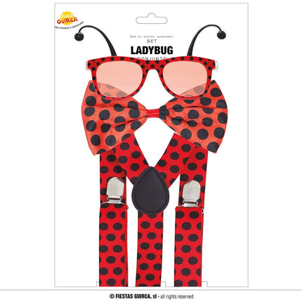 Lieveheersbeestje Set 3 delig van Fiestas Guirca koop je bij Partywinkel