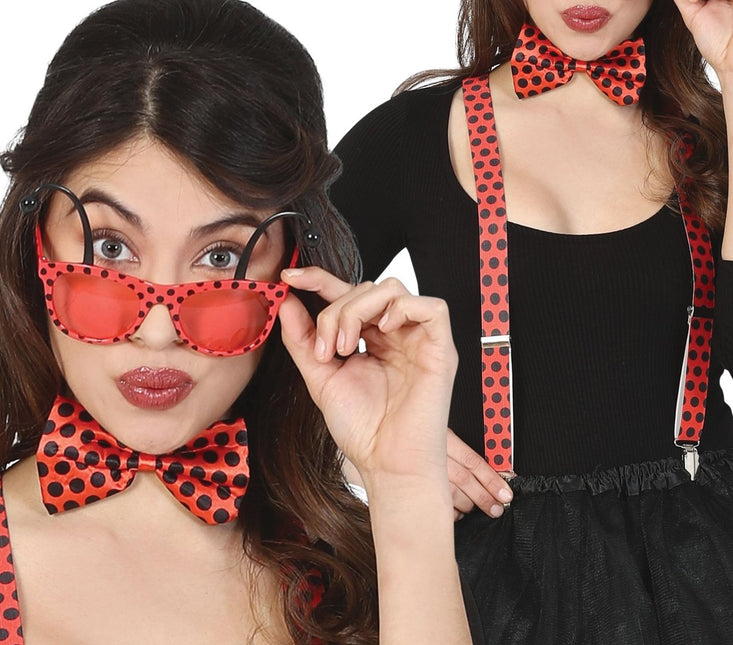 Lieveheersbeestje Set 3 delig van Fiestas Guirca koop je bij Partywinkel