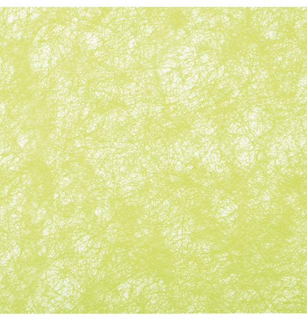 Lime Green Ribbon 10m