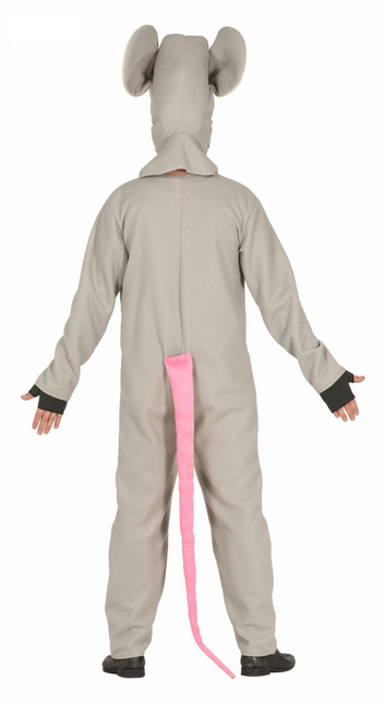 Muizenpak van Fiestas Guirca koop je bij Partywinkel