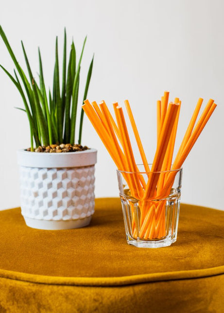 Oranje Rietjes Karton 20st van WeFiesta koop je bij Partywinkel