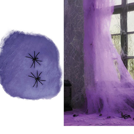 Paarse Spinnenweb 60g van Fiestas Guirca koop je bij Partywinkel