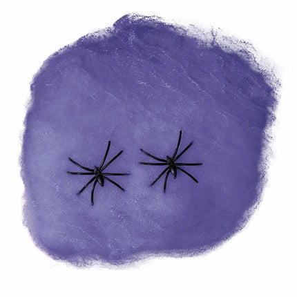 Paarse Spinnenweb 60g van Fiestas Guirca koop je bij Partywinkel