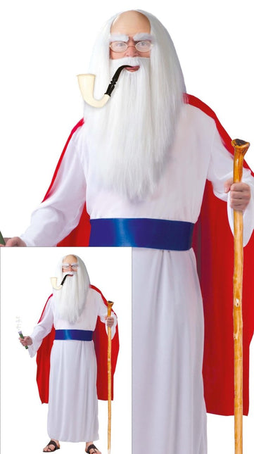 Panoramix Kostuum Asterix en Obelix - Partywinkel - 8434077848647
