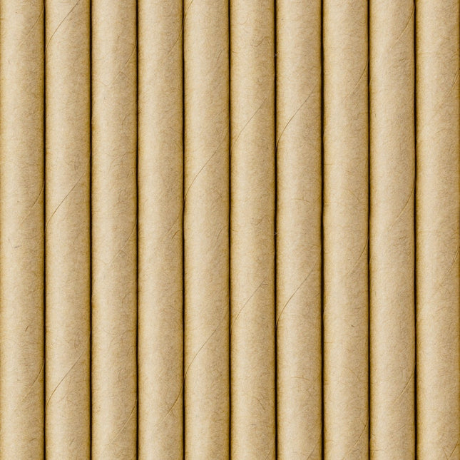 Papieren Rietjes Karton 19,5cm 250st van Partydeco koop je bij Partywinkel