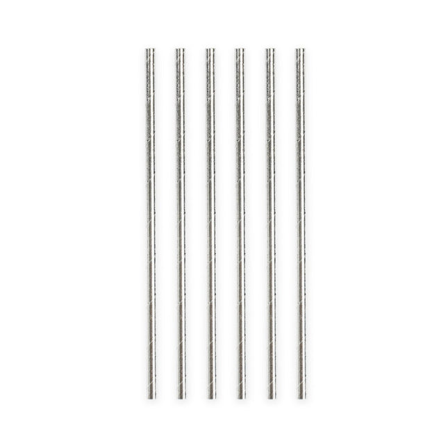 Papieren Zilveren Metallic Rietjes 19,7cm 20st van WeFiesta koop je bij Partywinkel