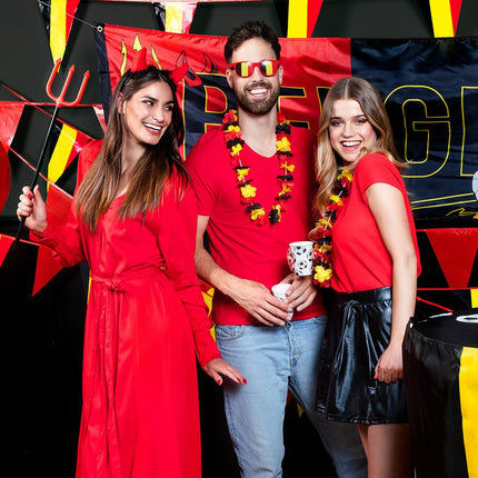 Partybril Belgie van Boland koop je bij Partywinkel