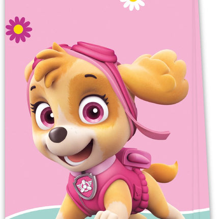 Paw Patrol Uitdeelzakjes Skye And Everest 4st van Procos koop je bij Partywinkel