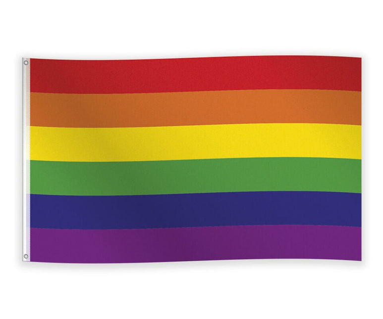 Pride Vlag 1,5m van WeFiesta koop je bij Partywinkel