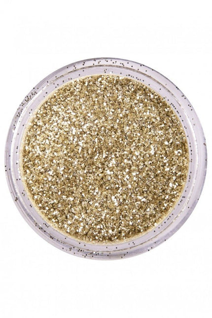 PXP Glitter Poeder Dutch Silver 2,5gr van PXP Professional Colours koop je bij Partywinkel