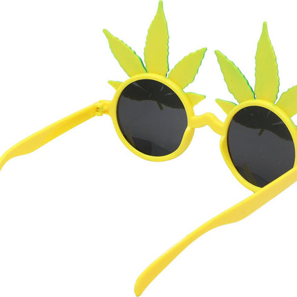 Rasta Bril van Fiestas Guirca koop je bij Partywinkel