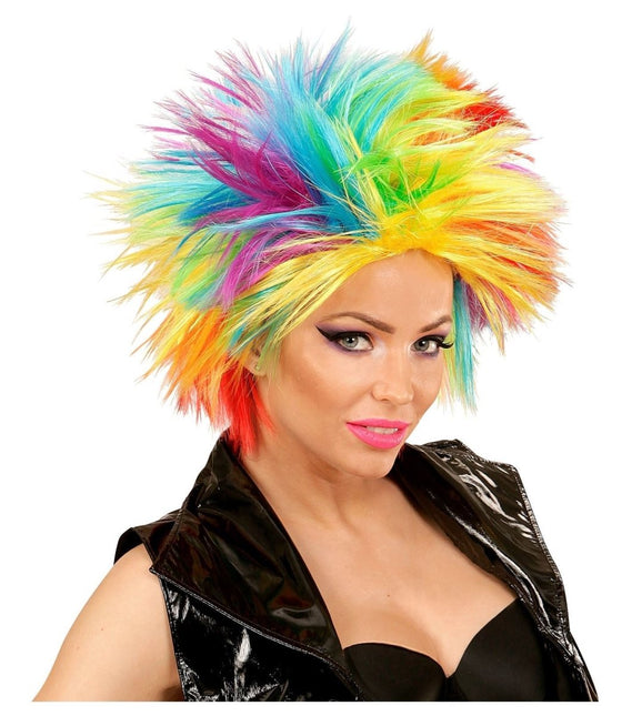 Regenboog Pruik van Widmann koop je bij Partywinkel