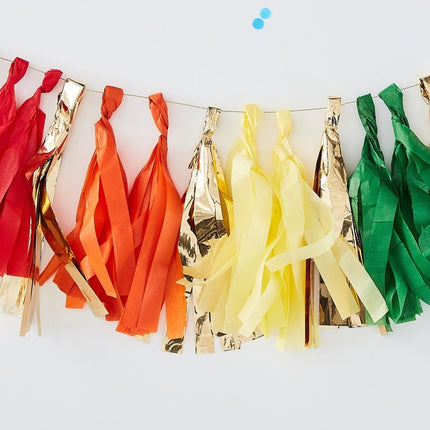 Regenboog Tassel Slinger 1,5m van Ginger Ray koop je bij Partywinkel