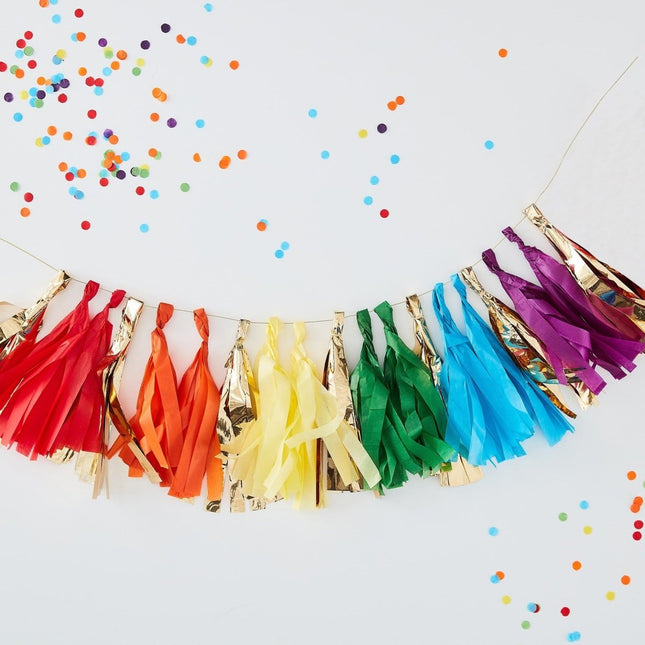 Regenboog Tassel Slinger 1,5m van Ginger Ray koop je bij Partywinkel