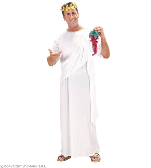 Romeins Kostuum Toga - Partywinkel - 8003558717996