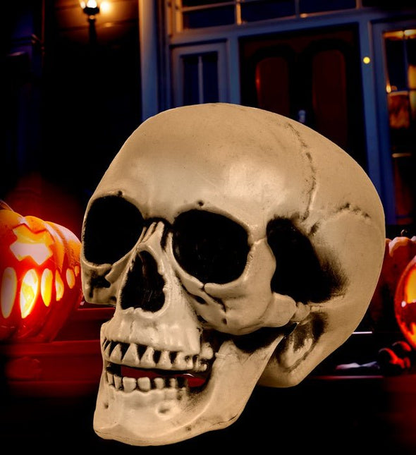 Schedel met Beweegbare Kaak 12cm van Widmann koop je bij Partywinkel