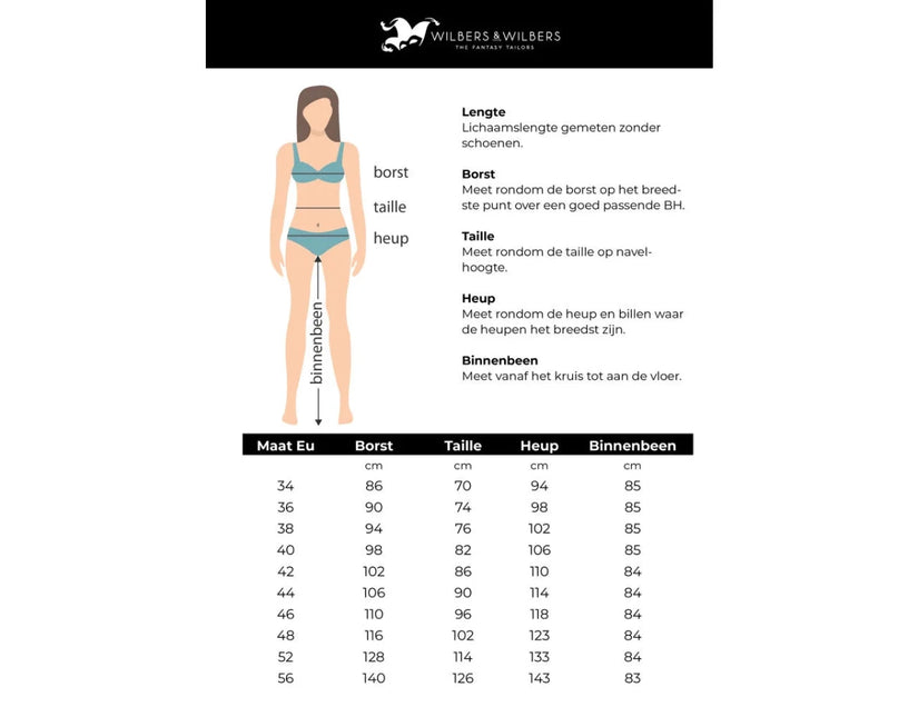 Schoolgirl Kostuum Dames van Wilbers & Wilbers koop je bij Partywinkel