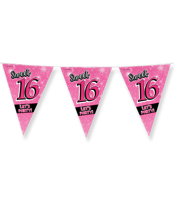 Slingers Sweet 16 10m van Paper Dreams koop je bij Partywinkel