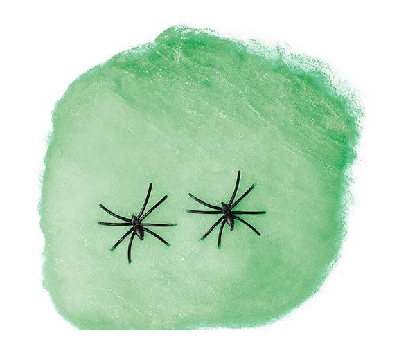 Spinnenweb Groen met 4 Spinnen 60gr - Partywinkel - 8434077197998