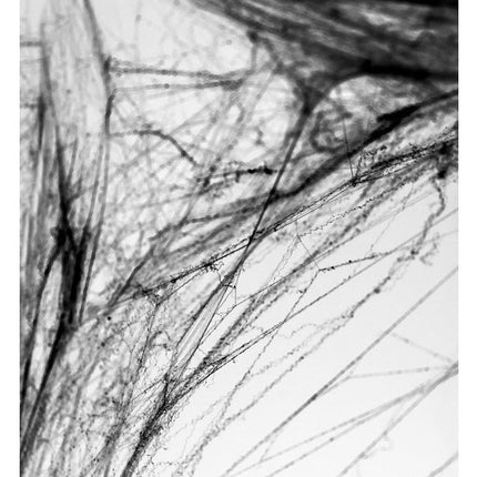 Spinnenweb Zwart met 2 Spinnen 60gr van Partydeco koop je bij Partywinkel