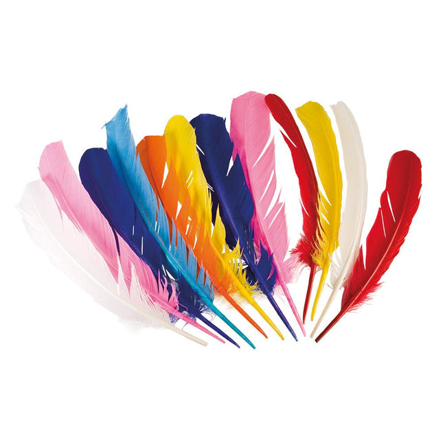 Uitdeelcadeautjes Veren 30cm 12st van Boland koop je bij Partywinkel