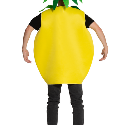 Ananas - jeden <tc>Rozmiar</tc>