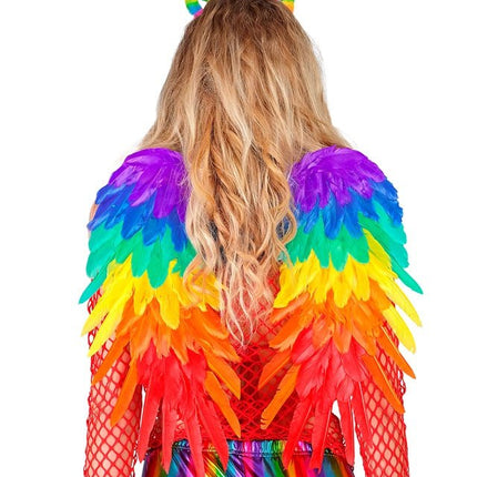 VEREN VLEUGELS REGENBOOG OPVOUWBAAR 50 X 50 CM van Widmann koop je bij Partywinkel