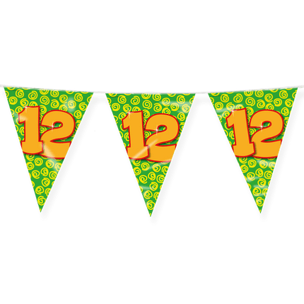 Vlaggenlijn 12 Jaar Gekleurd 10m van Paper Dreams koop je bij Partywinkel