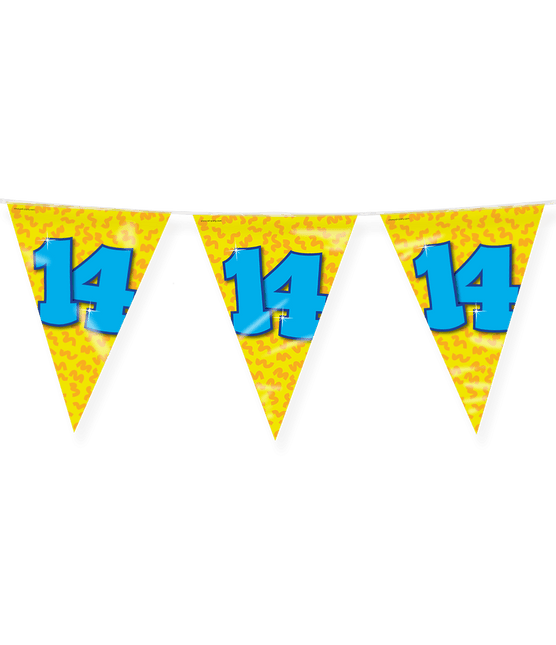 Vlaggenlijn 14 Jaar Gekleurd 10m van Paper Dreams koop je bij Partywinkel