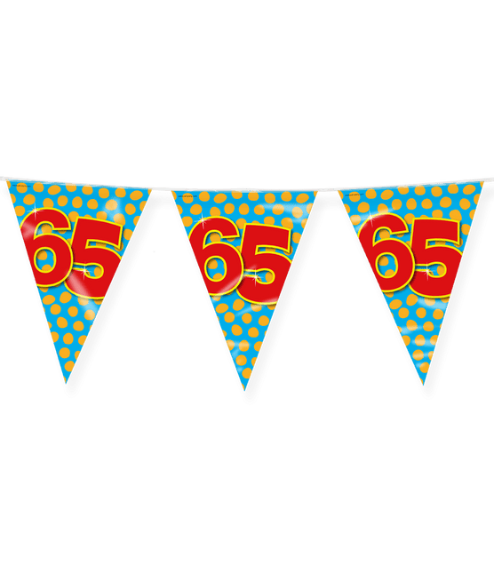 Vlaggenlijn 65 Jaar Gekleurd 10m van Paper Dreams koop je bij Partywinkel