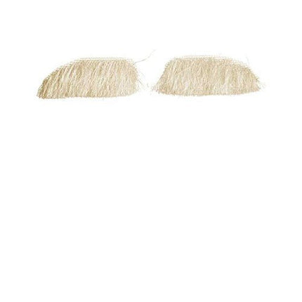 Wenkbrauwen Sint kanekalon van Haza Witbaard koop je bij Partywinkel