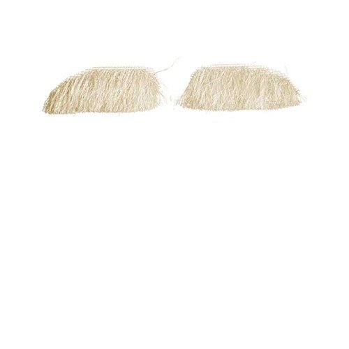 Wenkbrauwen Sint kanekalon van Haza Witbaard koop je bij Partywinkel