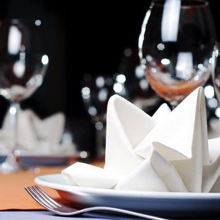 Witte Servetten Stof 35cm 25st van Partydeco koop je bij Partywinkel