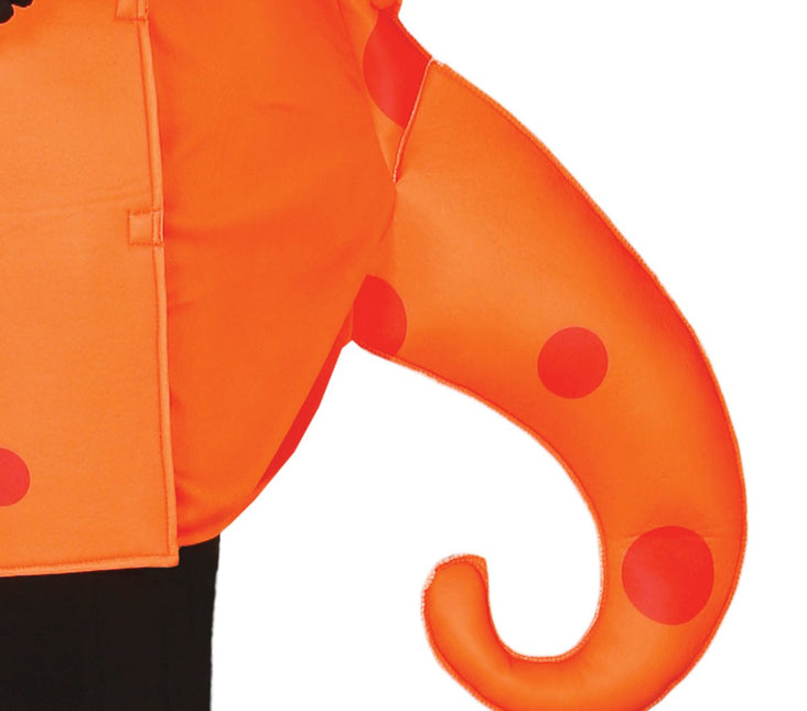 Zeepaardje Kostuum L van Fiestas Guirca koop je bij Partywinkel